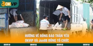 Đối tác - OKVIP - hình ảnh - lxmkezbhvo.top