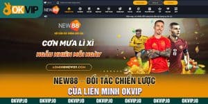 Đối tác - OKVIP - hình ảnh - lxmkezbhvo.top