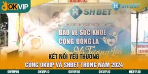 Đối tác - OKVIP - hình ảnh - lxmkezbhvo.top