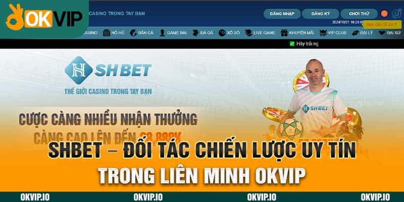 Hệ Sinh Thái OKVIP – Top 7 Đối Tác Chiến Lược Uy Tín - hình ảnh - lxmkezbhvo.top
